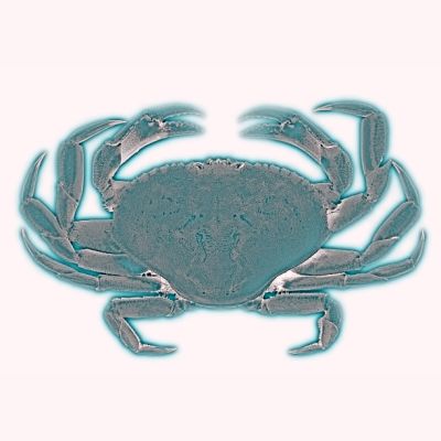 crab-sartaan